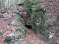 Wejście do jaskini w skalnym zboczu porośniętym mchem, otoczone liśćmi.