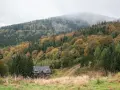 Drewniany dom w górach, otoczony jesiennym lasem i mgłą.