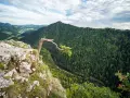 Widok z góry na przełom Dunajca, las i charakterne drzewo na skale.