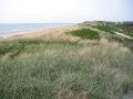 Wydmy porośnięte trawą i zielenią, z widokiem na morze i zabudowania w oddali.