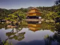 Złoty Pawilon Kinkaku-ji odbijający się w stawie, otoczony zielenią i drzewami.