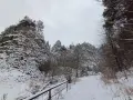 Zasypany śniegiem wąwóz z kamiennymi ścianami i drzewami, zimowy szlak.