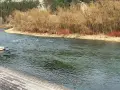 Rzeka Dunajec w Krościenku, zalesione zbocza i kamienne schody.