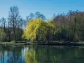 Jeziora zielonogórskie: piękne miejsca do wędkowania i relaksu