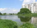 Jezioro Gocławskie: tajemnice, historia i ekologia w sercu Warszawy