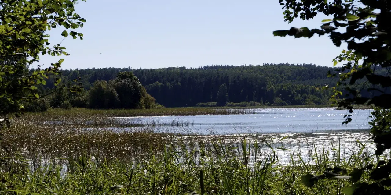 Jezioro Kielarskie: idealne miejsce na wędkowanie i relaks w naturze