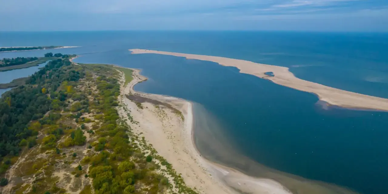 Plaża i morze z lotu ptaka, z zielonymi drzewami po lewej stronie.