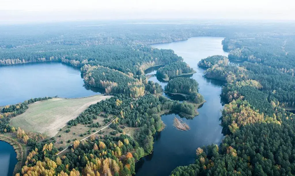 Jezioro Piaseczno lubelskie – tajemnice, atrakcje i czystość wody