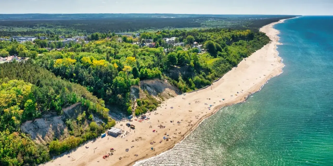 Widok z lotu ptaka na piaszczystą plażę w Jastrzębiej Górze z klifem i lasem.