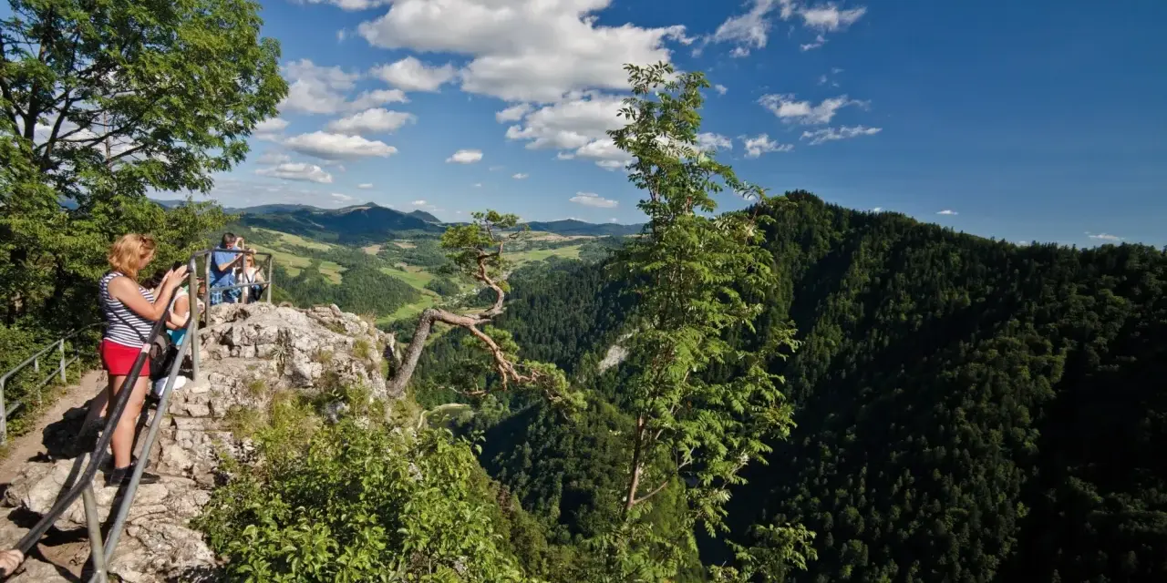 Widok z góry na turystów na skale, las i góry w tle.