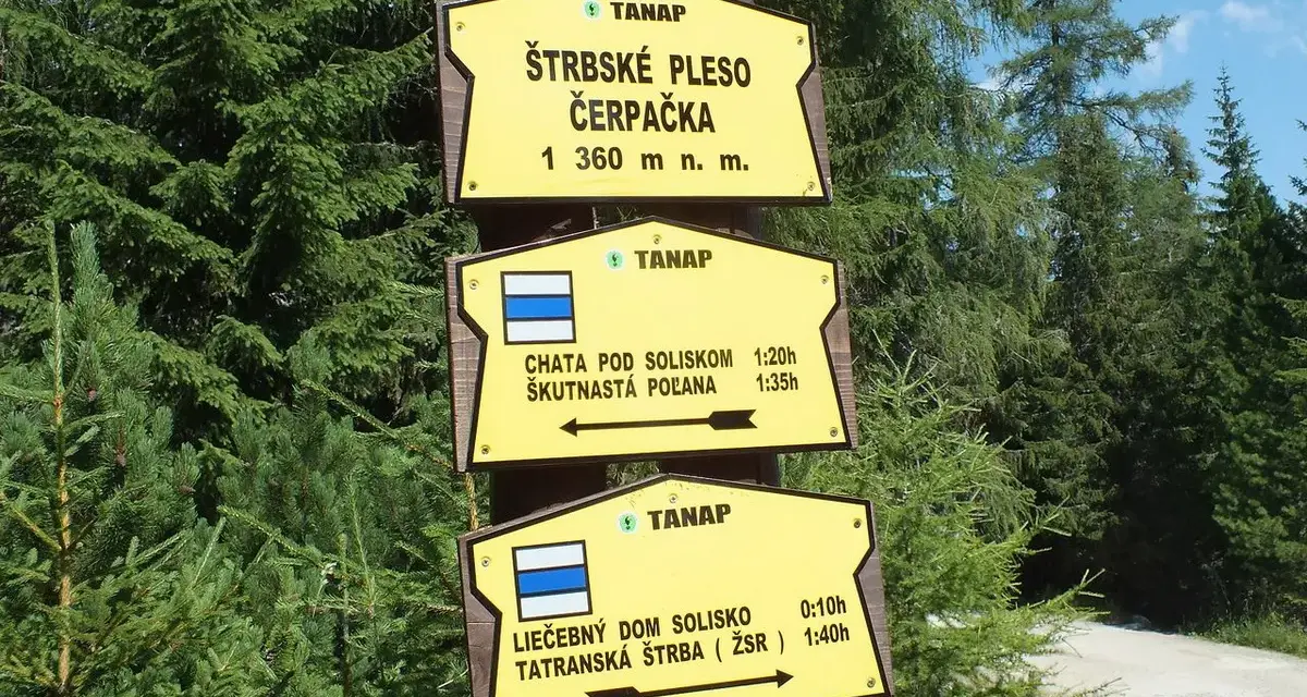 Żółte tabliczki z nazwami szlaków turystycznych w Tatrach i wskazaniami kierunku.