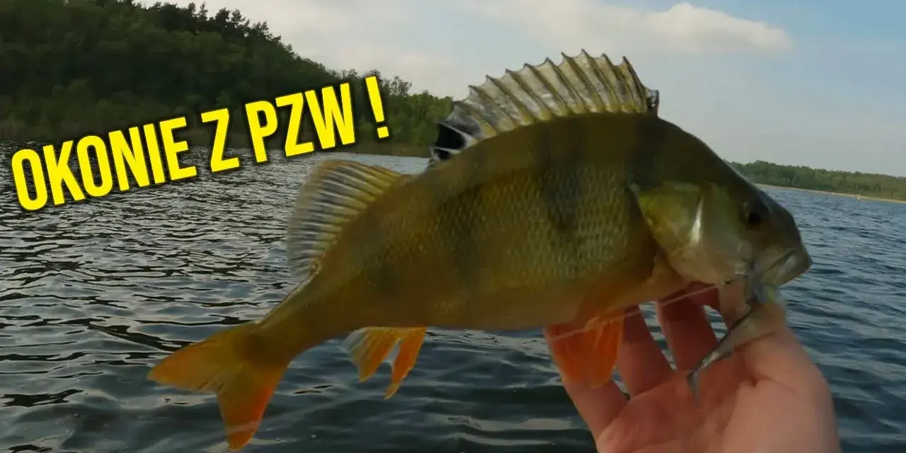 Jeziora PZW Mazowieckie: najlepsze miejsca na wędkowanie i ich tajemnice