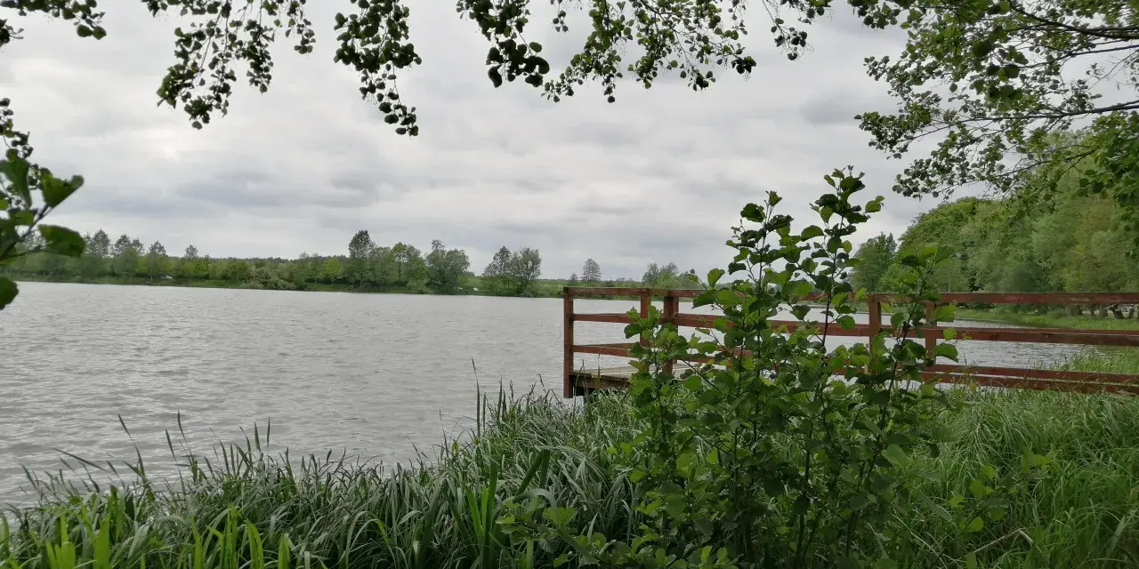 Widok na jezioro z pomostem, otoczone zielenią i zaroślami.