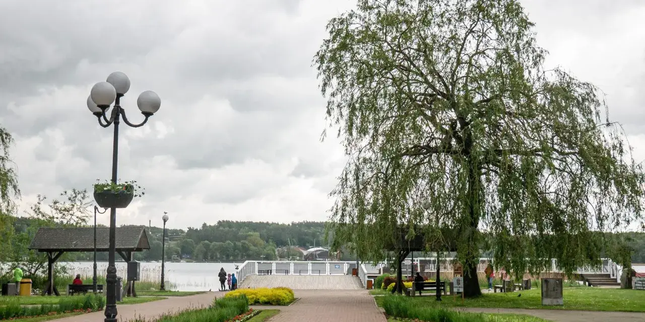 Deptak w Mrągowie nad Jeziorem Czos z drzewem i ławkami.