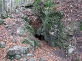 Wejście do jaskini w skalnym zboczu porośniętym mchem, otoczone liśćmi.