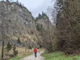 Osoba w czerwonej kurtce idzie ścieżką przez wąwóz z wysokimi, skalnymi ścianami i drzewami.