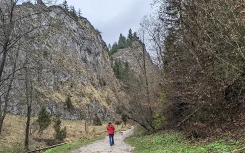 Osoba w czerwonej kurtce idzie ścieżką przez wąwóz z wysokimi, skalnymi ścianami i drzewami.