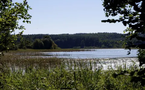 Jezioro Kielarskie: idealne miejsce na wędkowanie i relaks w naturze