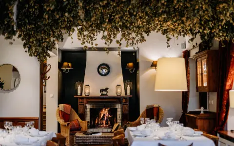 Gdzie zjeść w Nałęczowie? Odkryj najlepsze restauracje i smaki