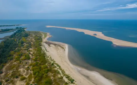 Plaża i morze z lotu ptaka, z zielonymi drzewami po lewej stronie.