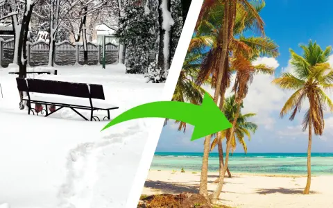 Podziałka: zimowy park ze śniegiem i ławką po lewej, tropikalna plaża z palmami po prawej. Zielona strzałka.