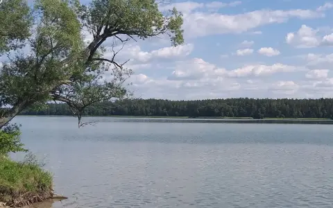 Przyjezierze Jeziora Wielkie - odkryj urokliwe miejsce na wypoczynek