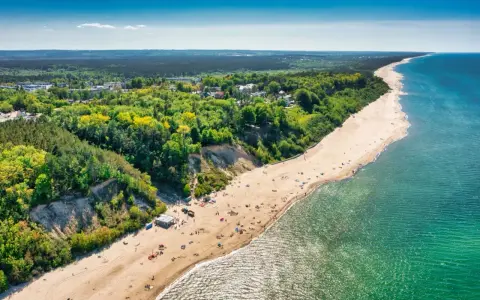 Widok z lotu ptaka na piaszczystą plażę w Jastrzębiej Górze z klifem i lasem.