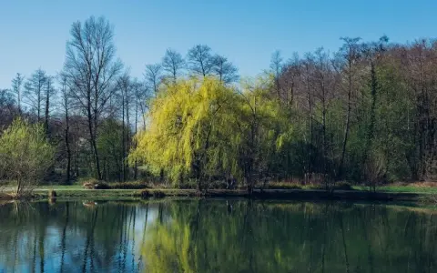 Jeziora zielonogórskie: piękne miejsca do wędkowania i relaksu
