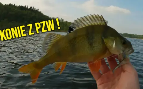 Jeziora PZW Mazowieckie: najlepsze miejsca na wędkowanie i ich tajemnice