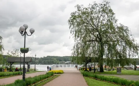 Deptak w Mrągowie nad Jeziorem Czos z drzewem i ławkami.
