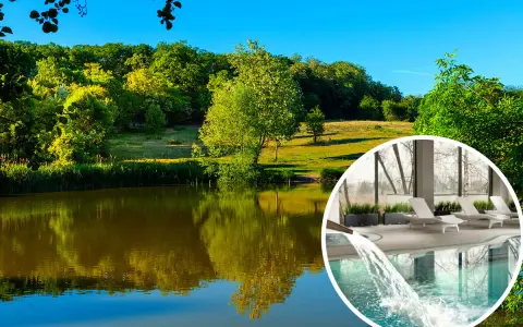 Widok na jezioro i las z okrągłym wstawieniem basenu i leżaków.