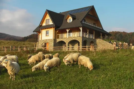Drewniany dom z kamienną podstawą i stadem owiec na łące w Pieninach.