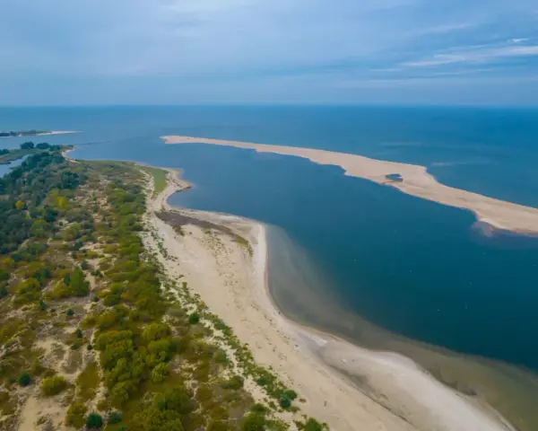 Plaża i zalesione wydmy nad spokojnym, błękitnym morzem.