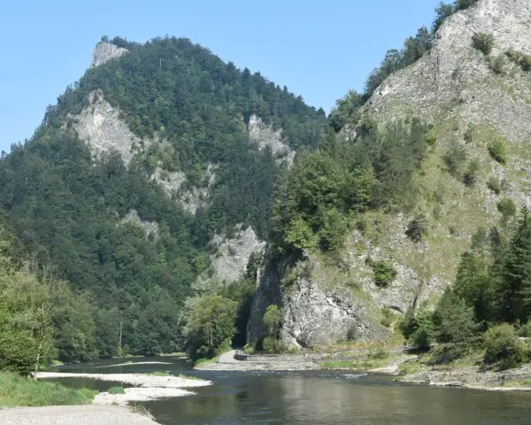 Rzeka Dunajec w przełomie, otoczona stromymi, zalesionymi górami i skalnymi zboczami.