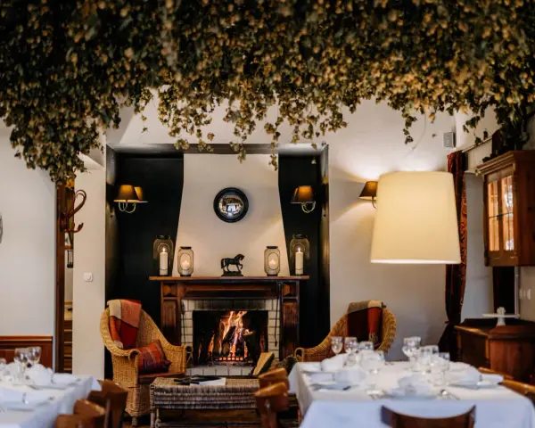 Gdzie zjeść w Nałęczowie? Odkryj najlepsze restauracje i smaki