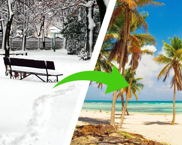 Podziałka: zimowy park ze śniegiem i ławką po lewej, tropikalna plaża z palmami po prawej. Zielona strzałka.