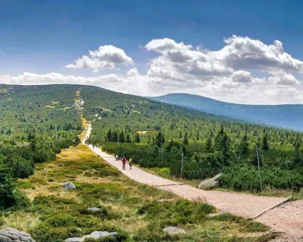 Kamieniste formacje skalne i szlak turystyczny w Karkonoszach.