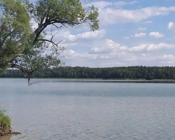 Przyjezierze Jeziora Wielkie - odkryj urokliwe miejsce na wypoczynek