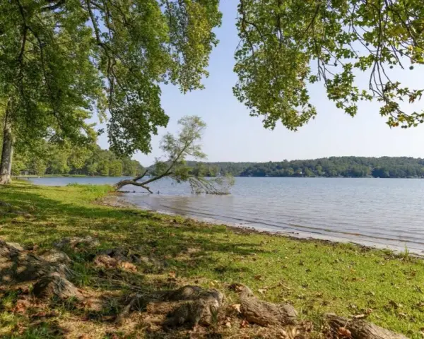 Sprzedam działkę nad jeziorem pomorskie - idealna inwestycja w naturę