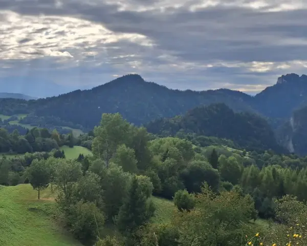 Krajobraz górski z wąwozem, lasami i torami saneczkowymi w tle.