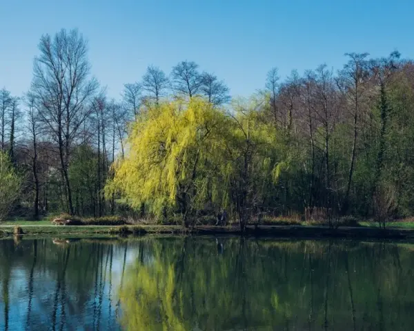 Jeziora zielonogórskie: piękne miejsca do wędkowania i relaksu