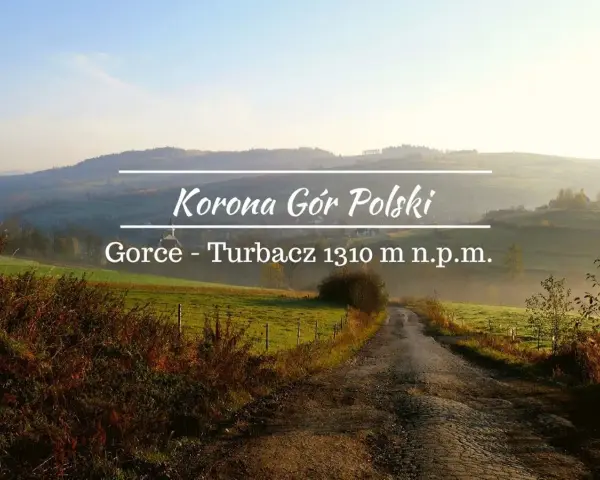 Droga przez zielone wzgórza Gorców do Turbacza, najwyższego szczytu.