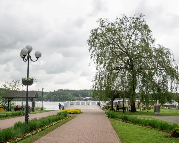 Deptak w Mrągowie nad Jeziorem Czos z drzewem i ławkami.