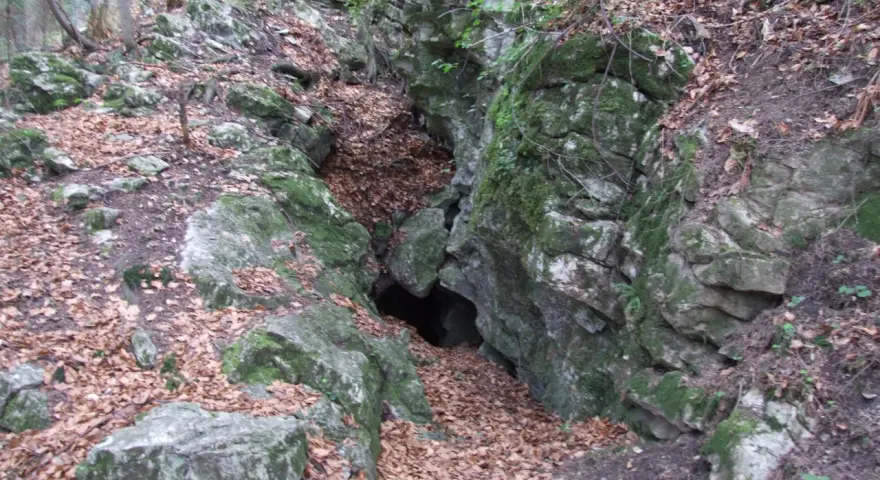 Wejście do jaskini w skalnym zboczu porośniętym mchem, otoczone liśćmi.