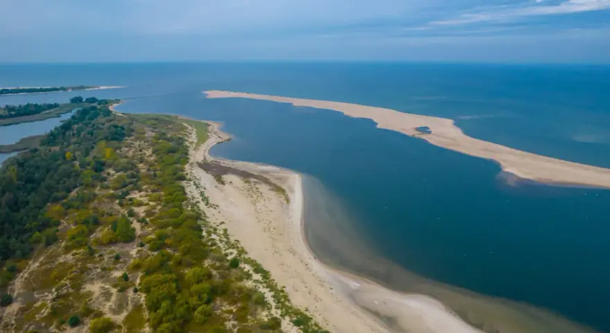 Plaża i zalesiony teren nad spokojnym, błękitnym morzem Bałtyckim.