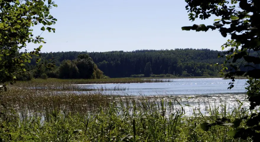 Jezioro Kielarskie: idealne miejsce na wędkowanie i relaks w naturze