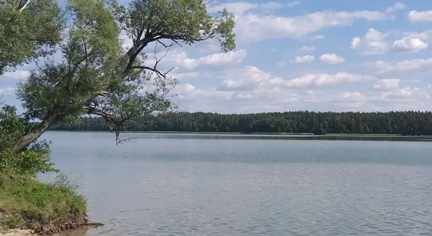 Przyjezierze Jeziora Wielkie - odkryj urokliwe miejsce na wypoczynek