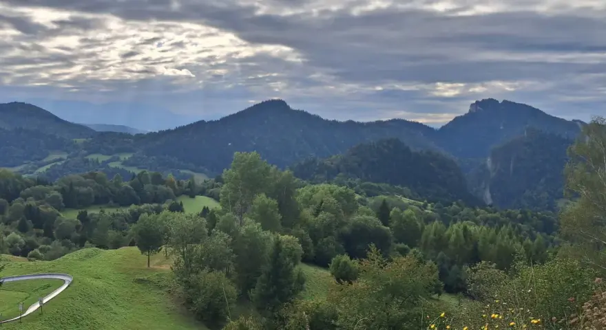 Krajobraz górski z wąwozem, lasami i torami saneczkowymi w tle.