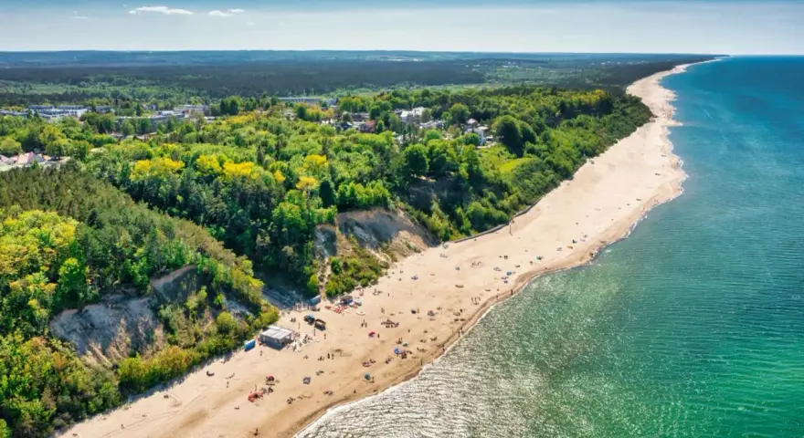 Widok z lotu ptaka na piaszczystą plażę w Jastrzębiej Górze z klifem i lasem.