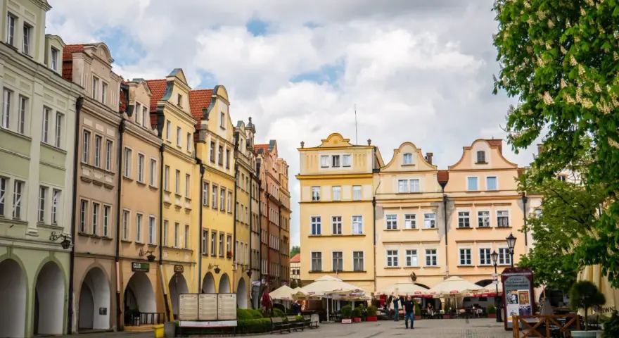 Kolorowe kamienice z arkadami na rynku w Jeleniej Górze, z drzewem w kwiecie po prawej.
